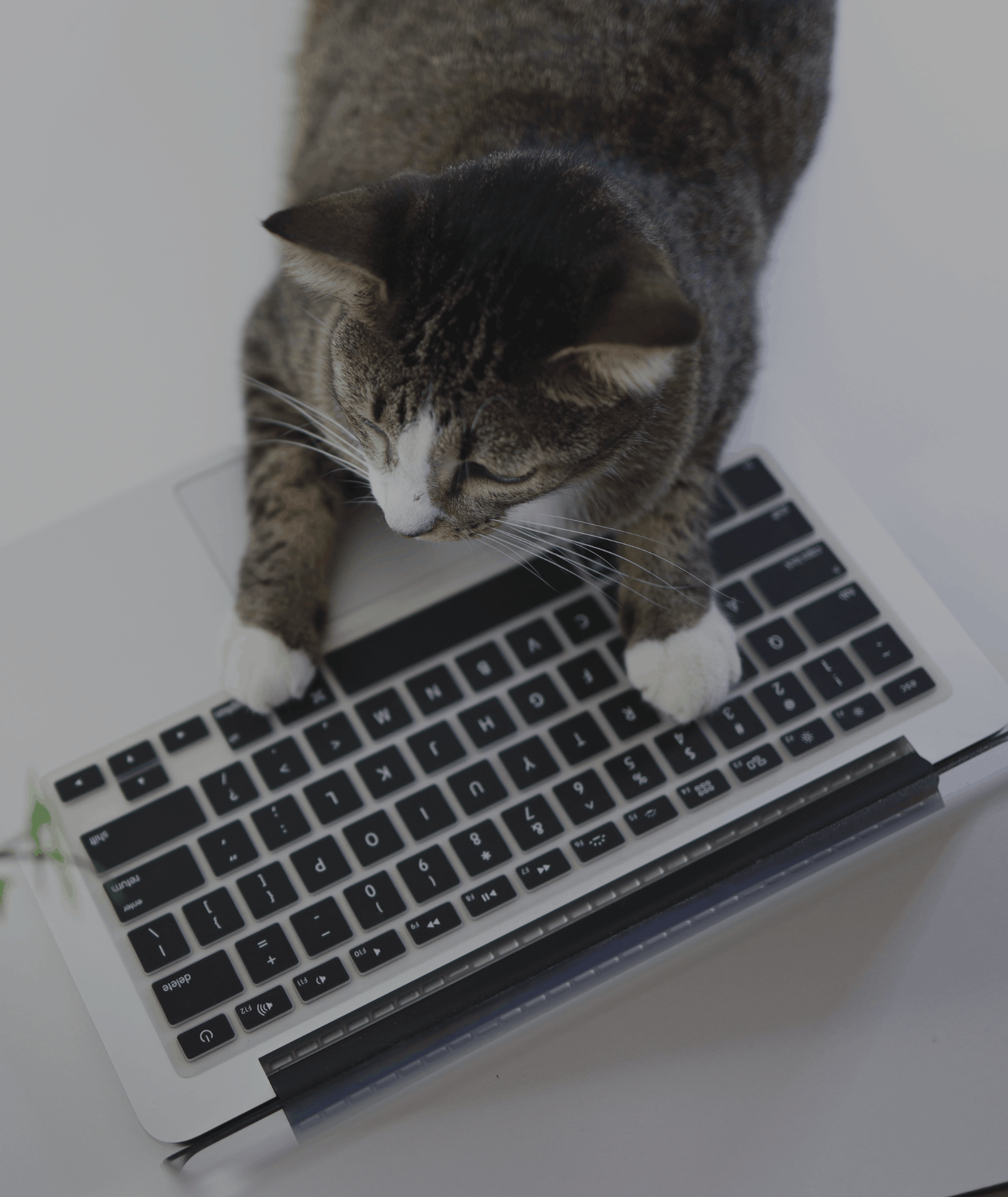 Praktične obuke za bezbedniji rad na internetu.